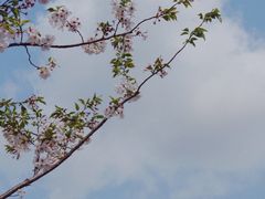 -蓝天路(地铁站)