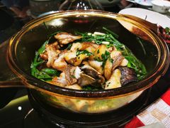香葱焗石斑鱼-尚一汤·粤菜海鲜(环球港店)