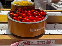 -龍歌自助小火锅(崂山丽达店)