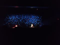 -郑州方特梦幻王国