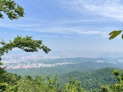 -紫金山山顶公园
