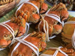 -蟹天蟹地农家菜·阳澄湖大闸蟹(浅水湾店)