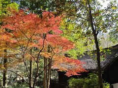 -黄公望隐居地