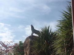 -海上田园