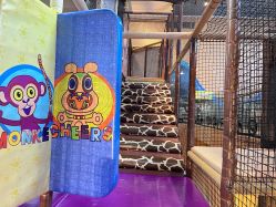 -卡通尼·Safari非洲探索乐园·生日会(金桥国际商业广场店)