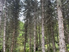 -硗碛藏寨·神木垒景区