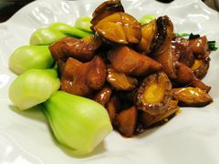 -南山酒肆(南山董事绘店)