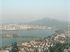 -紫峰大厦