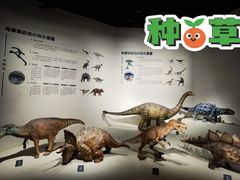 -自贡恐龙博物馆