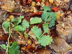 -蓉三少冒烤鸭·四川小吃集(北京首店)