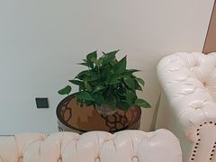 -湖锦酒楼(八一路店)
