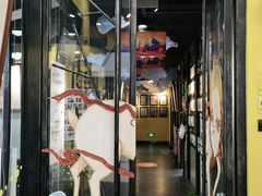 -杨梅红艺术教育(西湖万达校区)