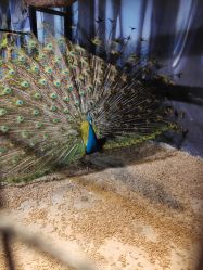 -酷嗒动物文化乐园(cutezoo西溪乐天城店)