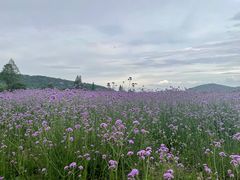-南北湖风景区