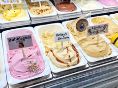 -Dooley's Premium Ice Cream