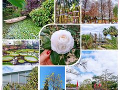 -中国科学院华南植物园