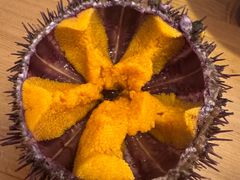 -海胆小馆(东北水饺·春柳店)