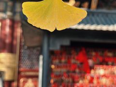 -潭柘寺景区