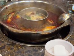 -金鼎雪山牦牛杂火锅(理县总店)