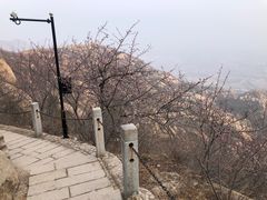 -北京凤凰岭