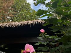 -石湖景区