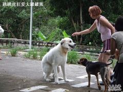 -南丫岛