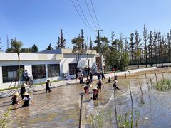 -上海长兴岛郊野公园