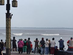 -观潮胜地公园