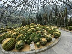 -深圳仙湖植物园