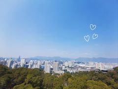 -金鸡山公园
