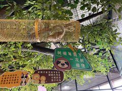-昆明大悦城未来动物城(螺蛳湾中心店)