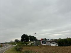 -空港花田景区