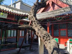 -莲池书院博物馆