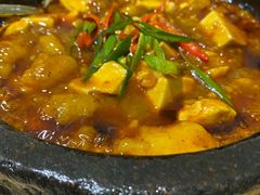 -大鸭梨烤鸭(左家庄店)