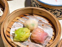 -点都德·毕德寮