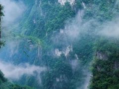 -鹿院坪生态旅游景区