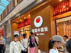 -阳阳中国饭(北京荟聚店)