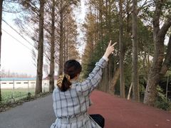 -上海长兴岛郊野公园