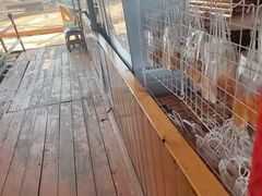 -蓝湾碧波·老字号·疍家非遗海上餐厅