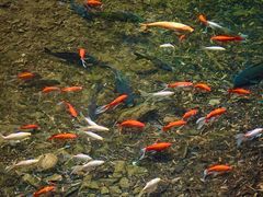 -小钱鱼馆(富春路店)