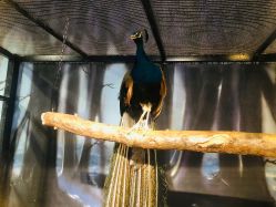 -酷嗒动物文化乐园(cutezoo西溪乐天城店)