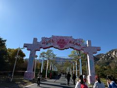 -北京凤凰岭