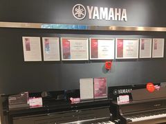 -雅歌音乐培训中心·钢琴培训·乐器培训(交道口店)