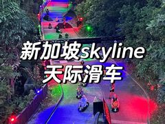 -圣淘沙天际线斜坡滑车