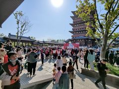 -祥源·阜阳生态乐园