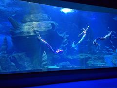 -多彩贵州城极地海洋世界