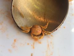 -LUCCA卢卡西班牙海鲜饭(远洋广场店)