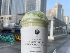 -茉酸奶(春熙路店)