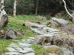 -少华山国家森林公园