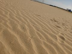 -日照海滨国家森林公园